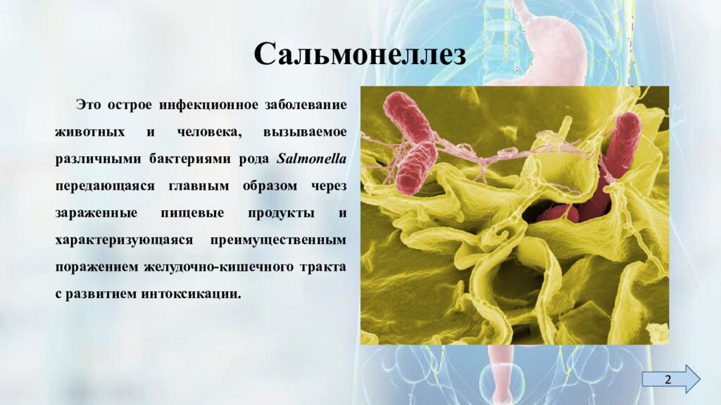 Сальмонеллез