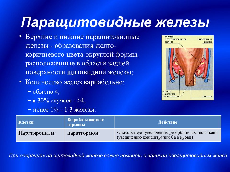 Презентация заболевания паращитовидных желез