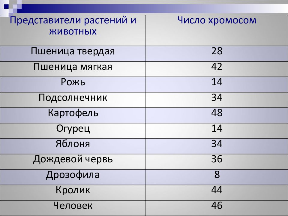 Сколько хромосом содержит спермий пшеницы. Кол во хромосом у картошки. Число хромосом пшеницы. Число хромосом у пшеницы мягкой. Набор хромосом у пшеницы мягкой:.