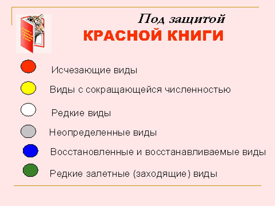 Красная книга презентация 6 класс