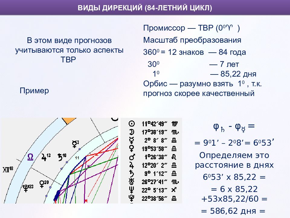 Летние циклы жизни