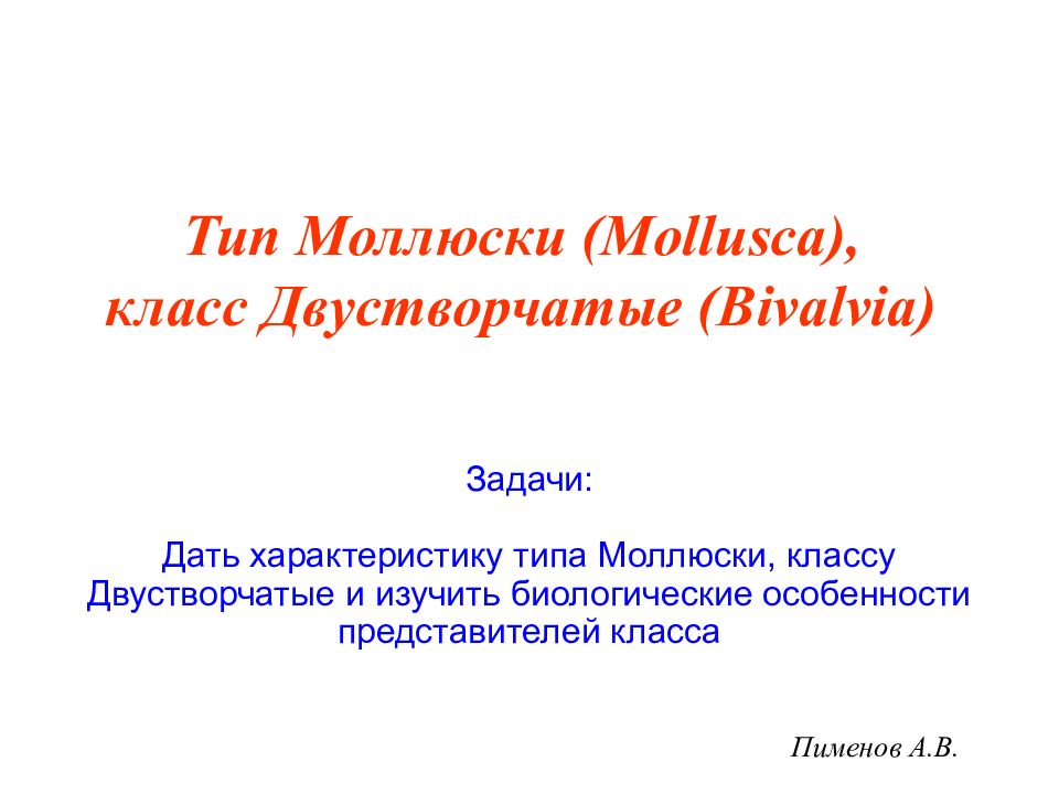 Пименов А.В. Тип Моллюски ( Mollusca ), класс Двустворчатые