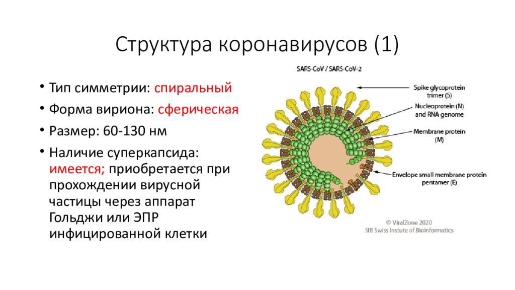 Лечение коронавируса сегодня схема