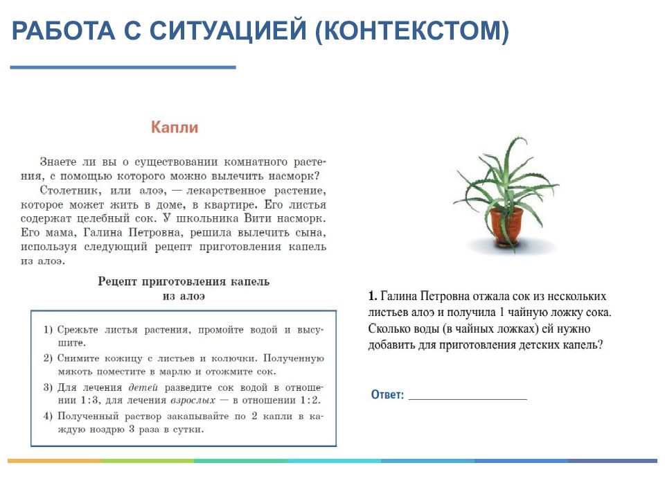 Опыт с морковкой 2 класс функциональная грамотность. Опыт с горохом 2 класс функциональная грамотность. Опыт с морковкой 2 класс окружающий мир.