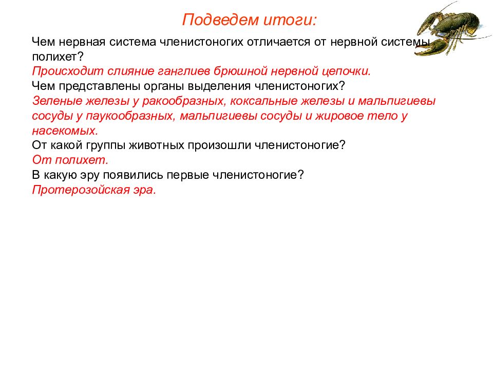 Отличия членистоногих. Вывод Членистоногие. Вывод о членистоногих. Вывод Тип Членистоногие класс ракообразные. Чем отличаются Членистоногие.