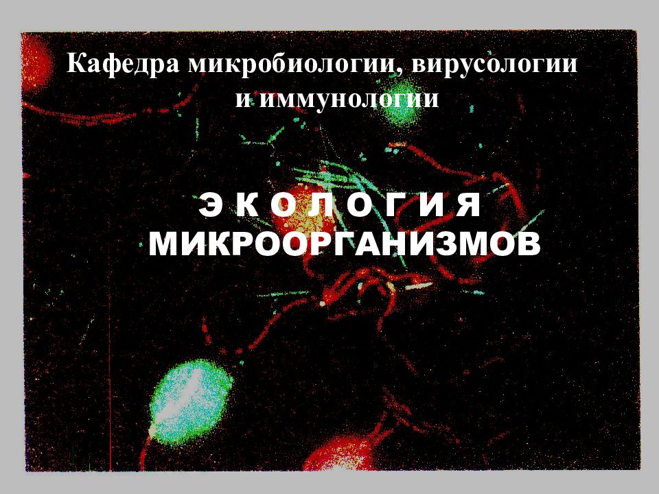 Кафедра микробиологии, вирусологии и иммунологии Э К О Л О Г И Я МИКРООРГАНИЗМОВ