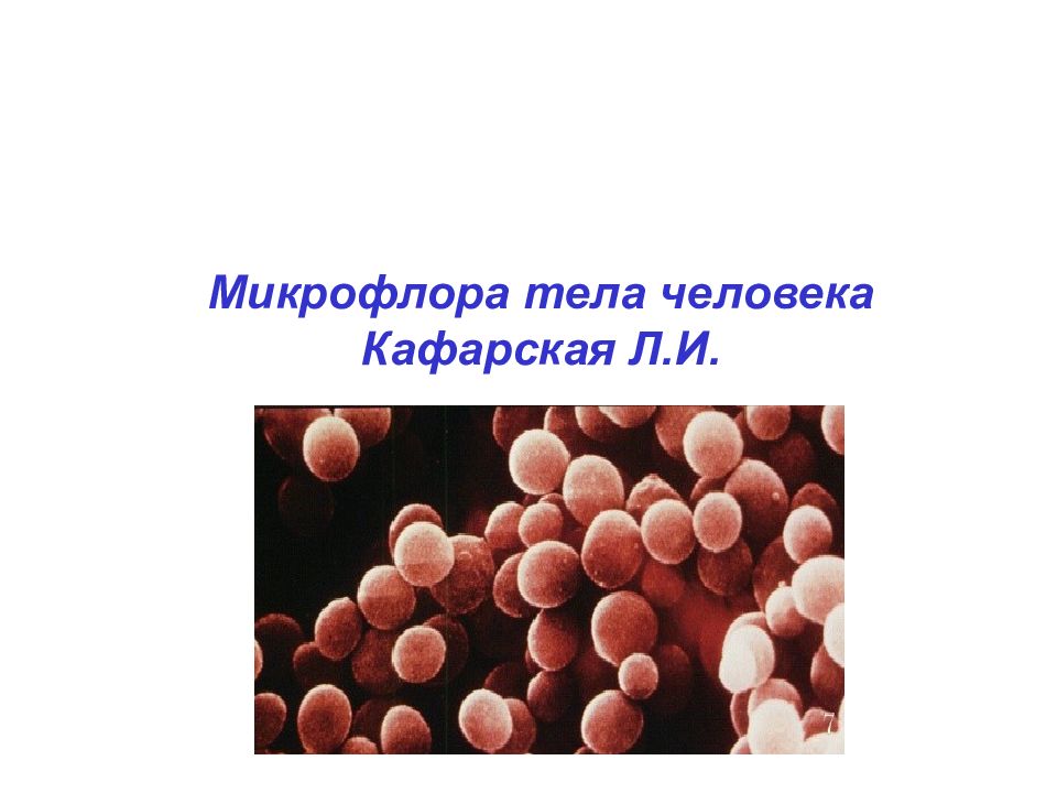 Микрофлора тела человека Кафарская Л.И.