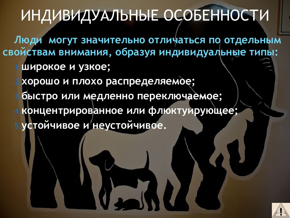 Индивидуальные особенности человека. Индивидуальные характеристики человека. Чё такое индивидуальные особенности. Инвидидуальныеособености человека.