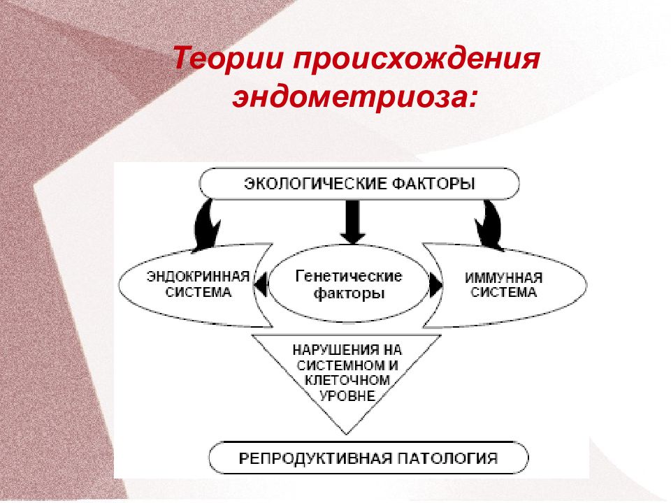 Факторы риска эндометриоза