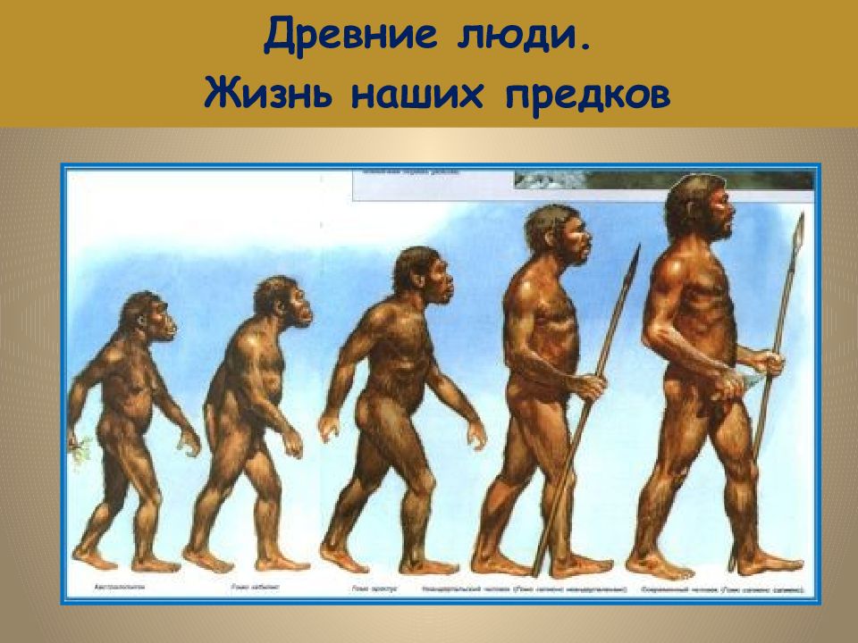 Древние люди. Жизнь наших предков
