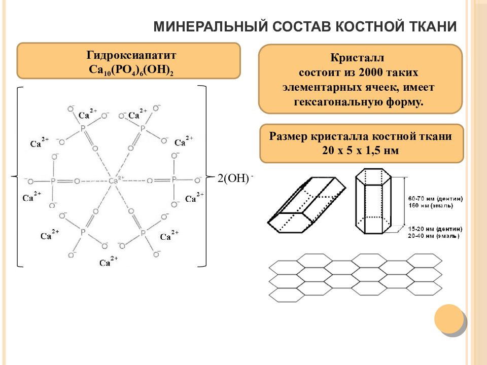 Биохимия костной ткани презентация