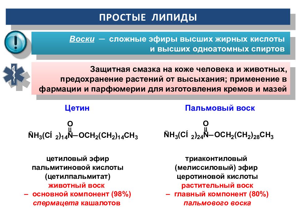 Липиды нуклеотиды