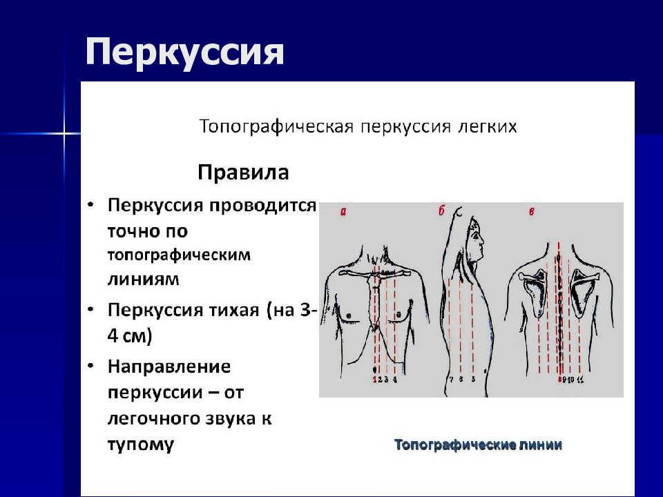 Презентация пропедевтика внутренних болезней дыхательная система