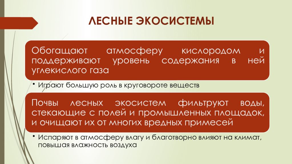 Проблемы устойчивости лесных экосистем в россии проект