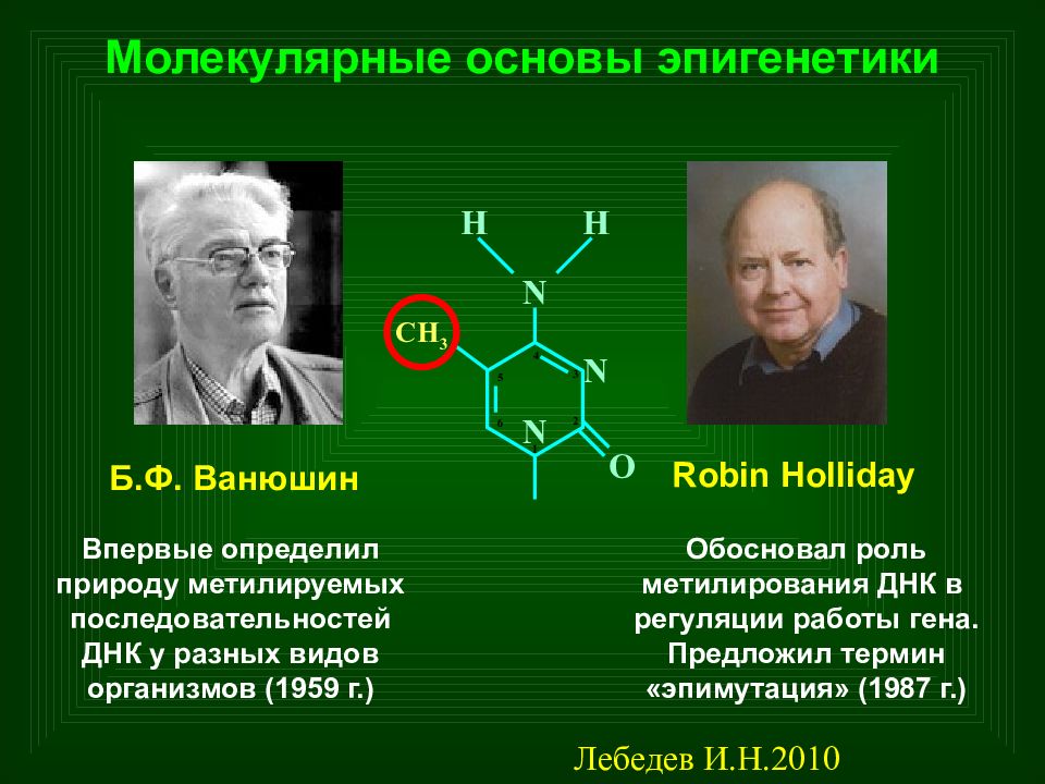 Эпигенетика систем арт. Эпигенетика. Эпигенетика принципы. Молекулярные основы жизни. Эпигеномные факторы.