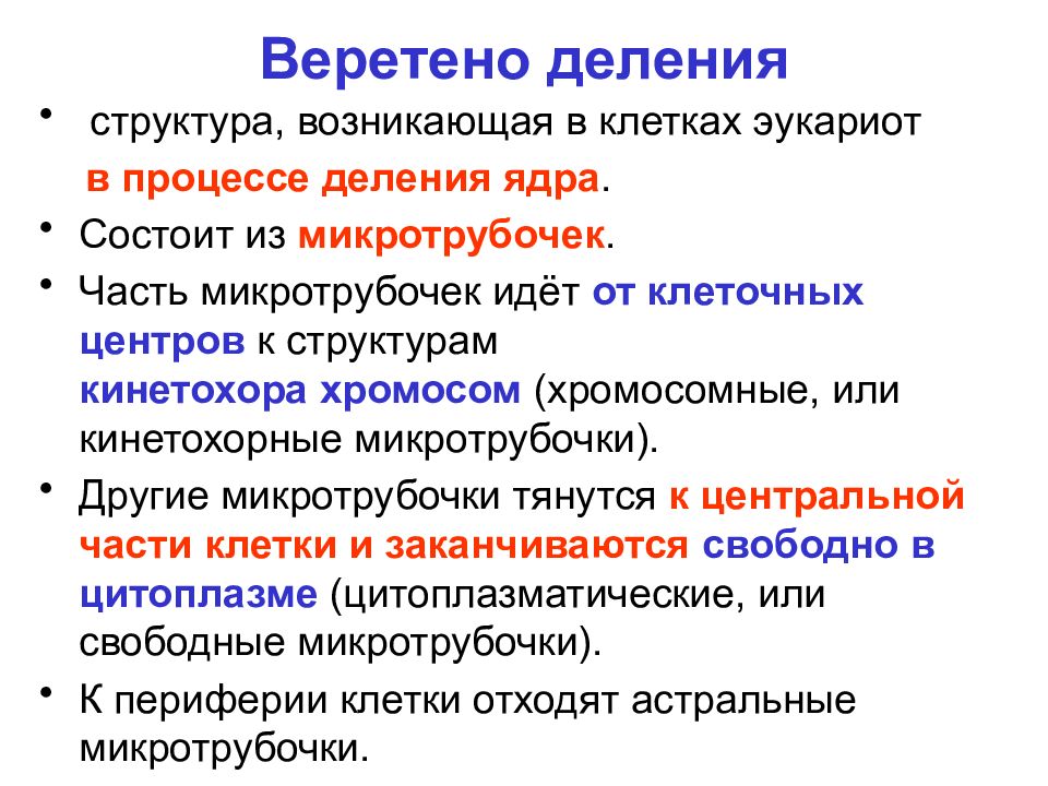 Подели состав. Состав деления. Структура делимого. Кинетохорные микротрубочки. Содержание и структура курса общей биологии.