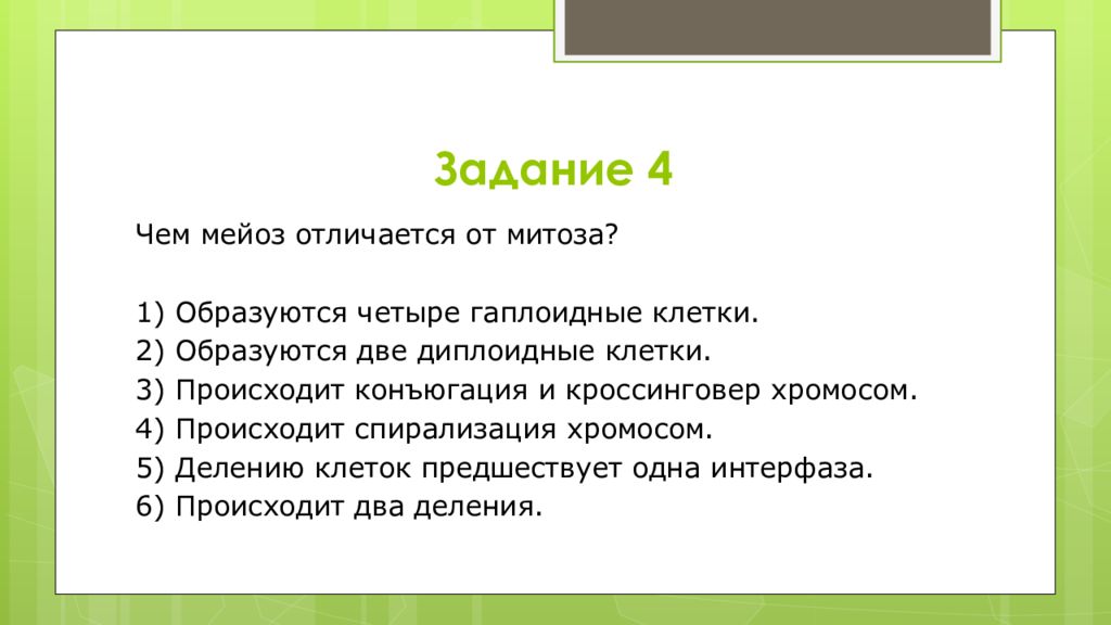 Мейоза образуется 4 гаплоидные клетки