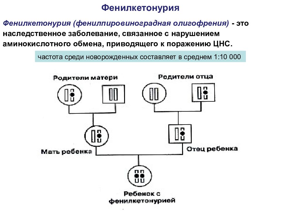 Фенилкетонурия это. Схема наследования фенилкетонурии. Фенилкетонурия (фенилпировиноградная олигофрения). Характеристика фенилкетонурии. Генотип фенилкетонурии.