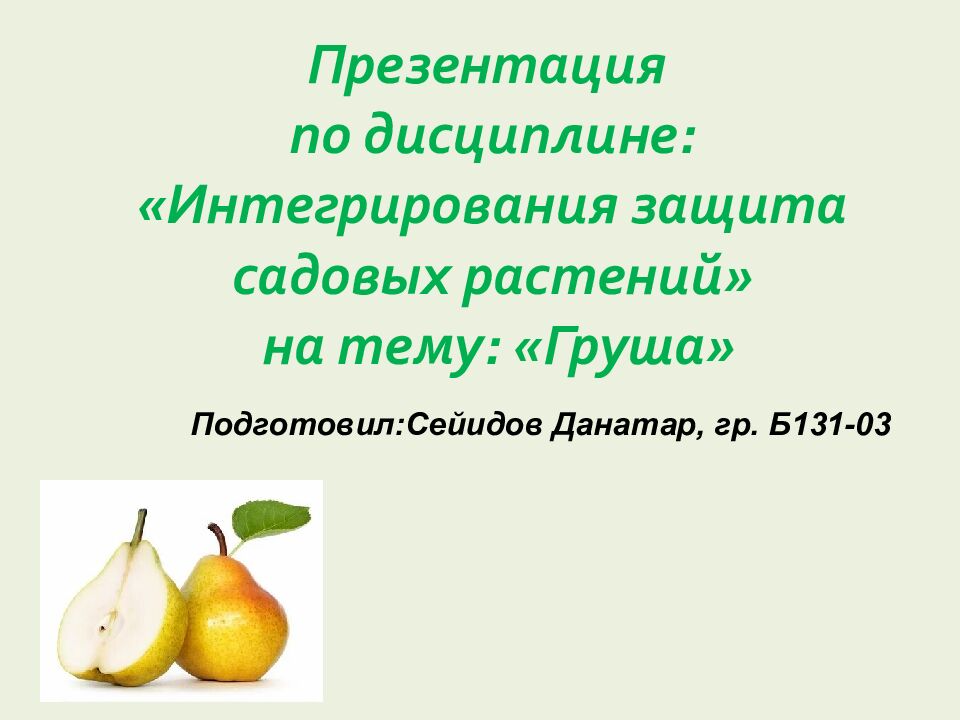 Презентация по дисциплине : « Интегрирования защита садовых растений » на тему : « Груша »