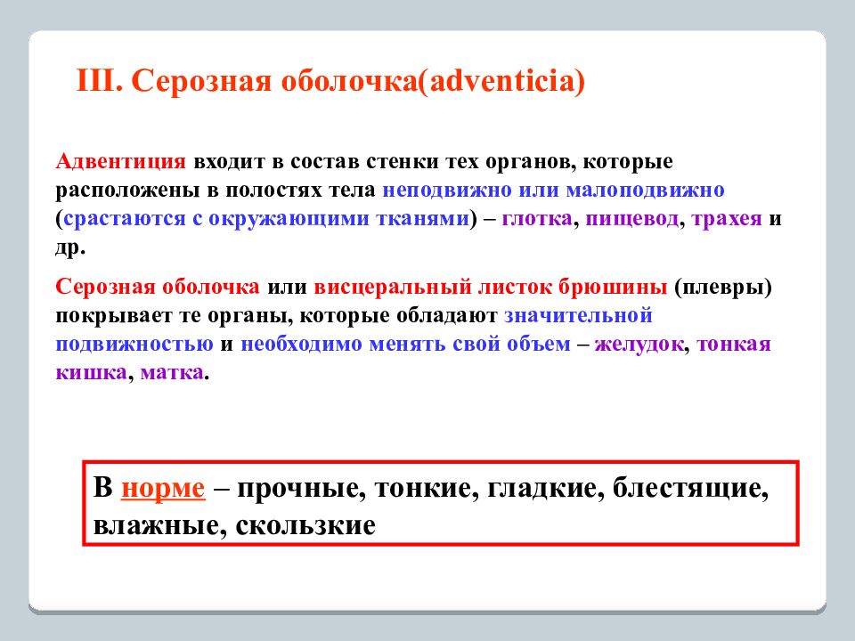 Серозная оболочка. Адвентиция и серозная оболочка. Органы, покрытые серозной оболочкой. Серозная оболочка органов.