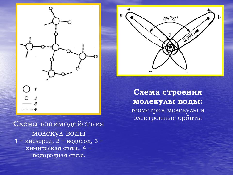 Связь в молекуле кислорода. Схема структуры молекулы воды. Пространственная структура молекулы воды. Строение молекулы воды схема. Строение молекулы воды.