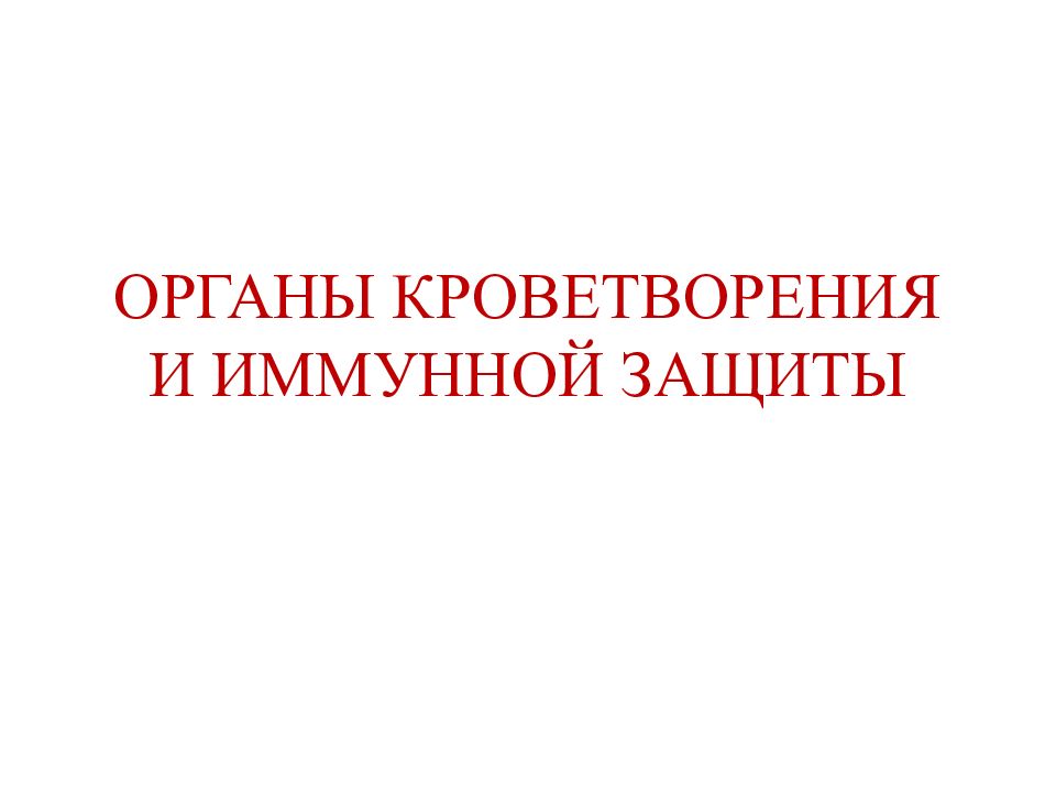 ОРГАНЫ КРОВЕТВОРЕНИЯ И ИММУННОЙ ЗАЩИТЫ
