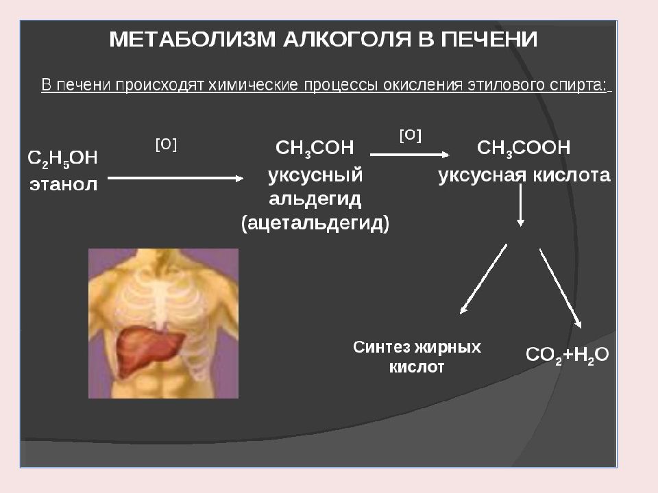 Как убрать запах печени. Схема метаболизма этанола в печени. Процесс распада этанола в организме.