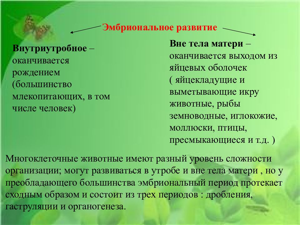 Индивидуальное развитие организма онтогенез презентация 10 класс