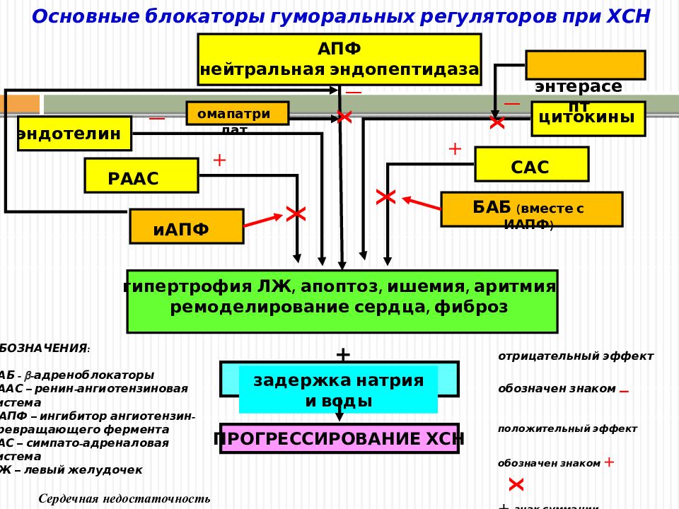 Сердечная недостаточность патофизиология презентация