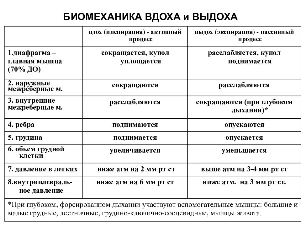 Физиология дыхания презентация