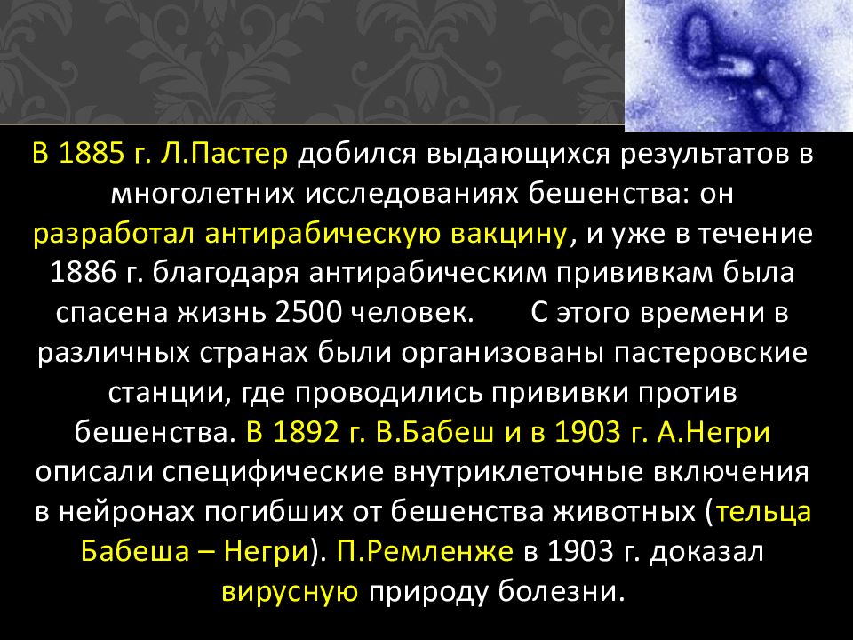 Бешенство презентация по инфекционным болезням