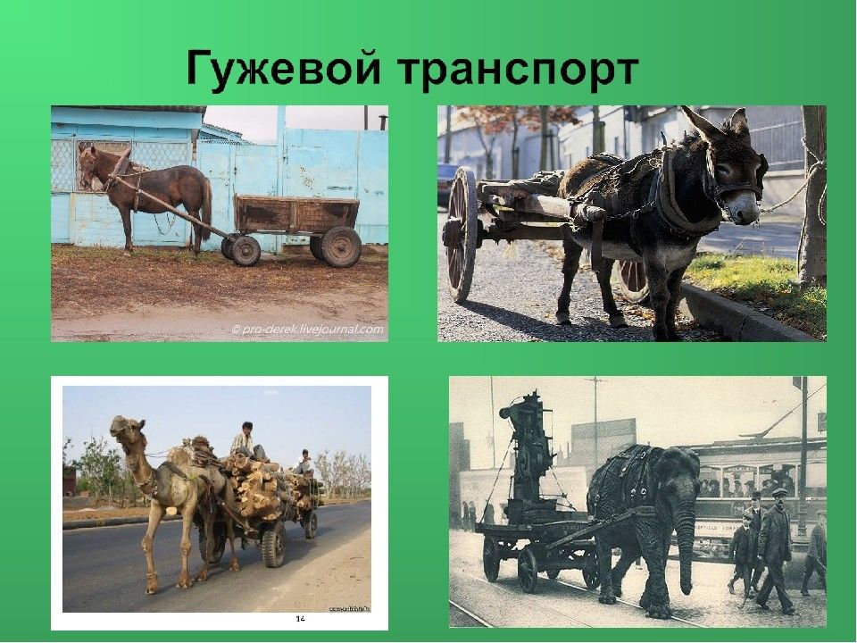 Гужевой транспорт картинки для детей