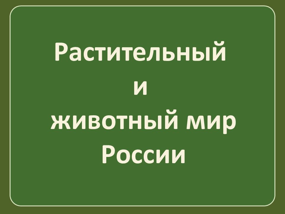 Растительный и животный мир России