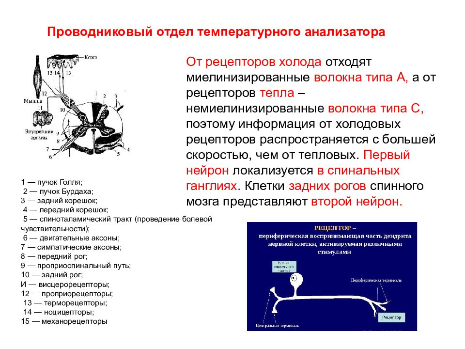 Проводниковым отделом