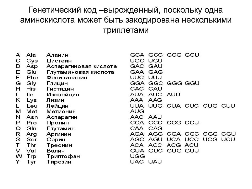 Сколько аминокислот кодирует 900. Генетический код вырожден. Одна аминокислота. Одну аминокислоту могут кодировать несколько триплетов. Как расшифровывается генетический код.