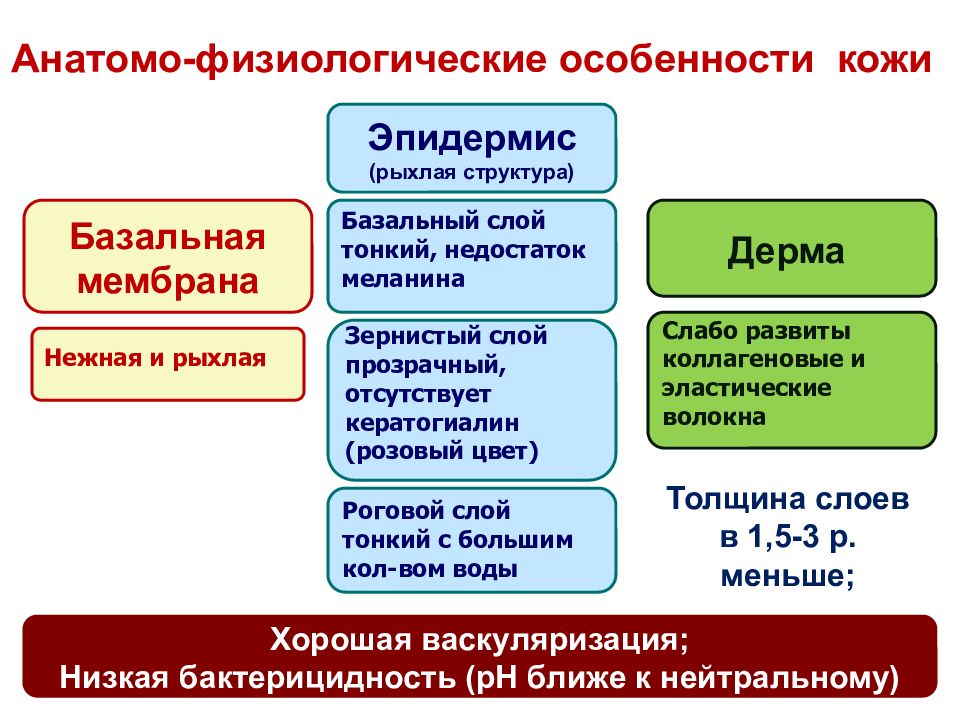 Афо кожи у детей презентация