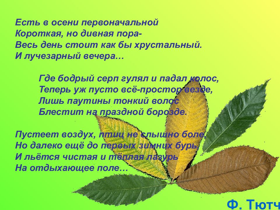 Короткая дивная. Где бодрый серп гулял и падал Колос теперь уж пусто все простор везде. Тютчев где бодрый серп гулял и падал Колос. Стих где бодрый серп гулял и падал. Праздная борозда Тютчев что это.