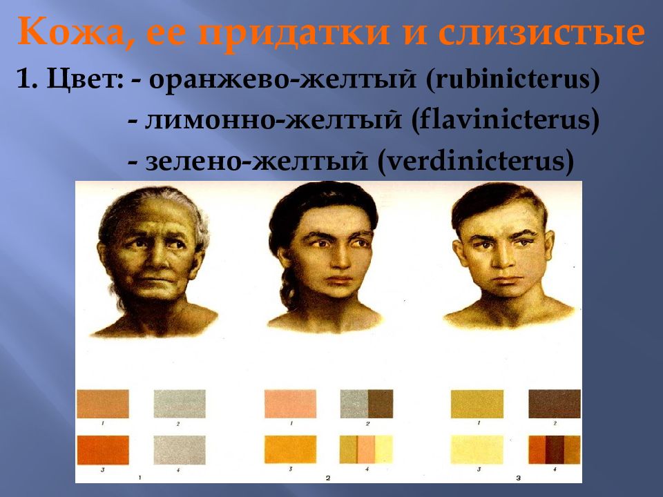 Желтый Цвет Кожи Фото