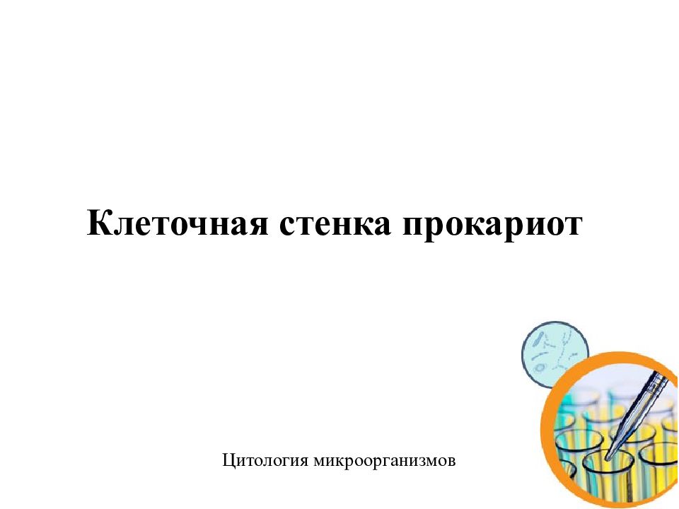 Клеточная стенка прокариот