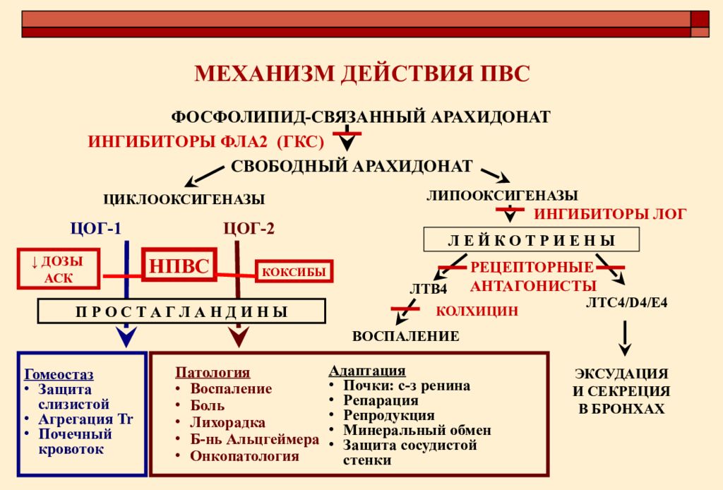 Механизм действия нпвс схема