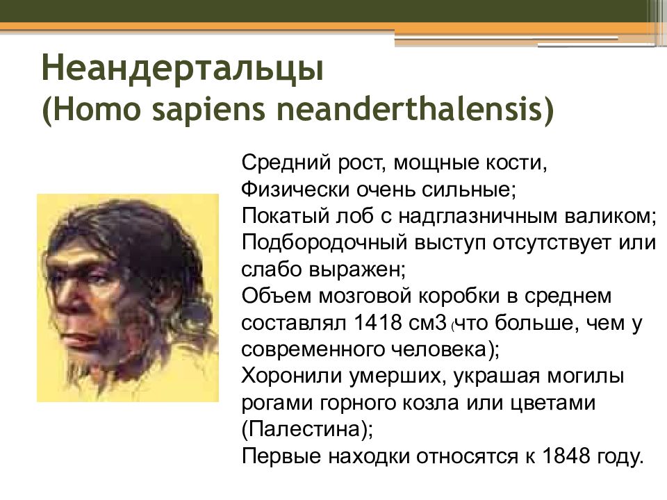 Особенности строения неандертальца. Неандерталец (homo Neanderthalensis). Homo Neanderthalensis характеристика. Кроманьонец неандерталец сапиенс сапиенс. Homo sapiens и неандертальцы.