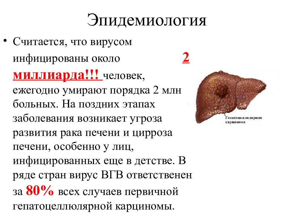 Презентация на тему гепатит