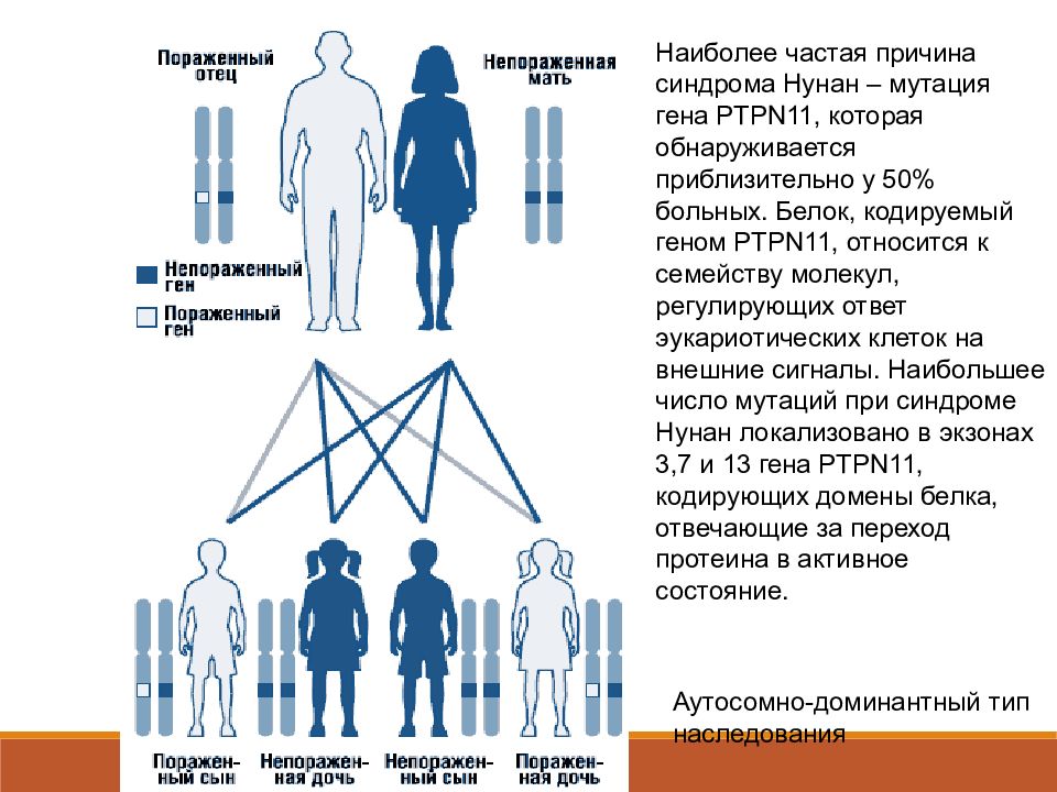 Синдром нунан презентация