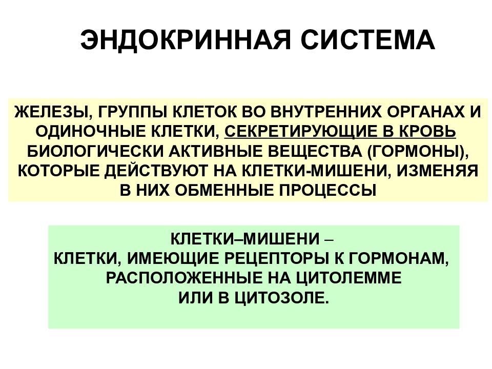 Железы группы. Классификация эндокринной системы. Классификация эндокринных клеток. Особенности строения эндокринных клеток. Окситоцин клетки мишени.