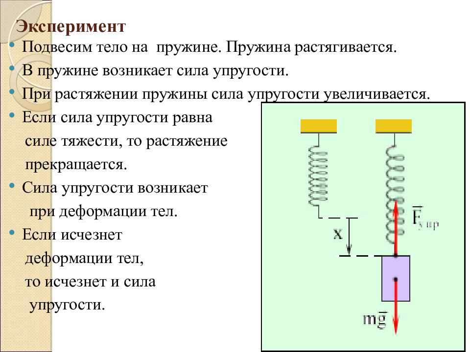 Сила упругости возникает при растяжении пружины