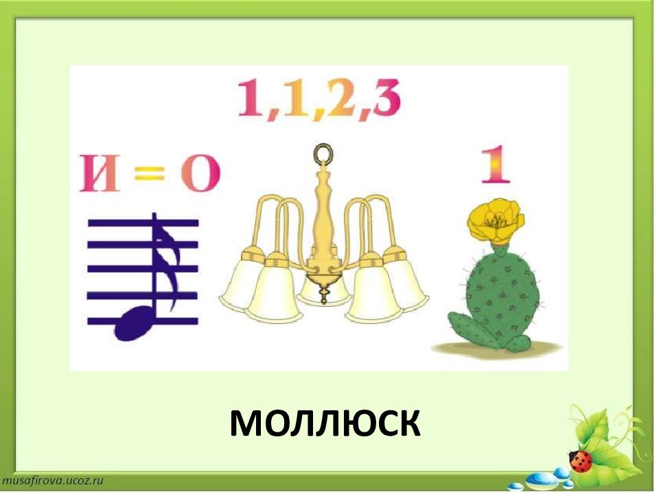 Викторина по биологии 11 класс презентация