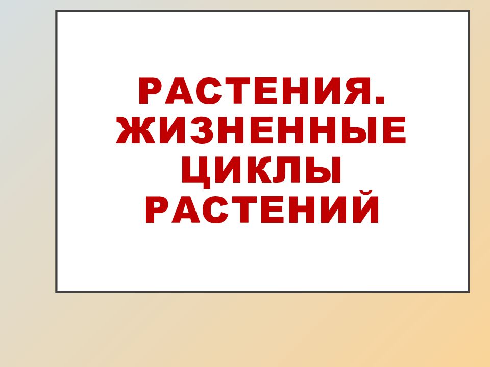 Растения. Жизненные циклы растений
