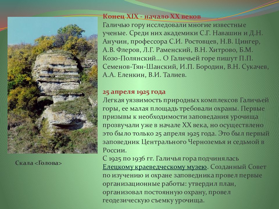 Галичья гора где находится. Заповедник Галичья гора музей. Заповедник Галичья гора в Липецкой области проект. Галичья гора Морозова гора. Музей Галичья гора Липецкая область.