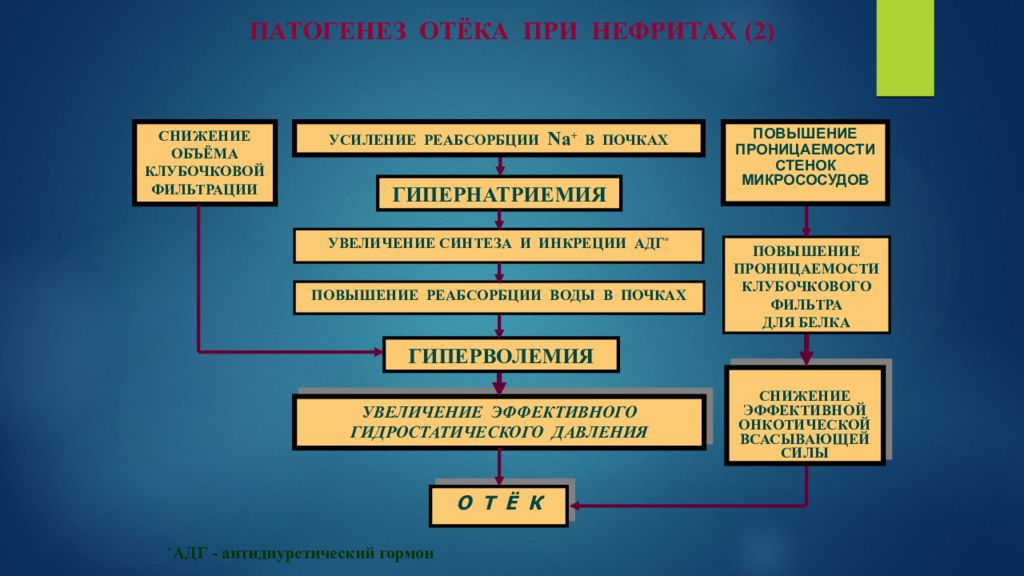 2 патогенез. Патогенез отека при нефритах. Патогенез отеков патофизиология. Механизм развития отеков. Механизмы развития отеков патофизиология.