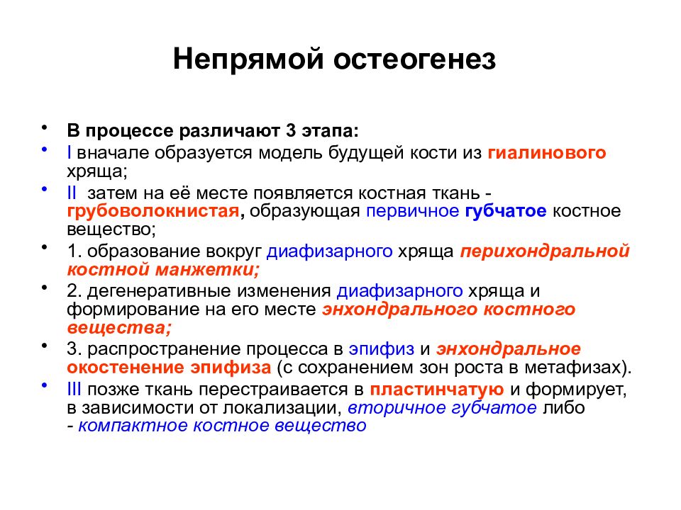 Характеристика трех этапов. Остеогенез прямой и непрямой таблица. Этапы непрямого остеогистогенеза. Стадии непрямого остеогенеза. Этапы прямого остеогенеза и их характеристика.